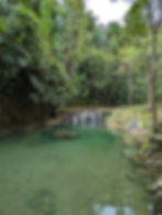 green pool at Locong Falls