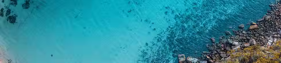 nsplsh_be012e84d0bb47768df14ace7f0b7052~mv2.avif