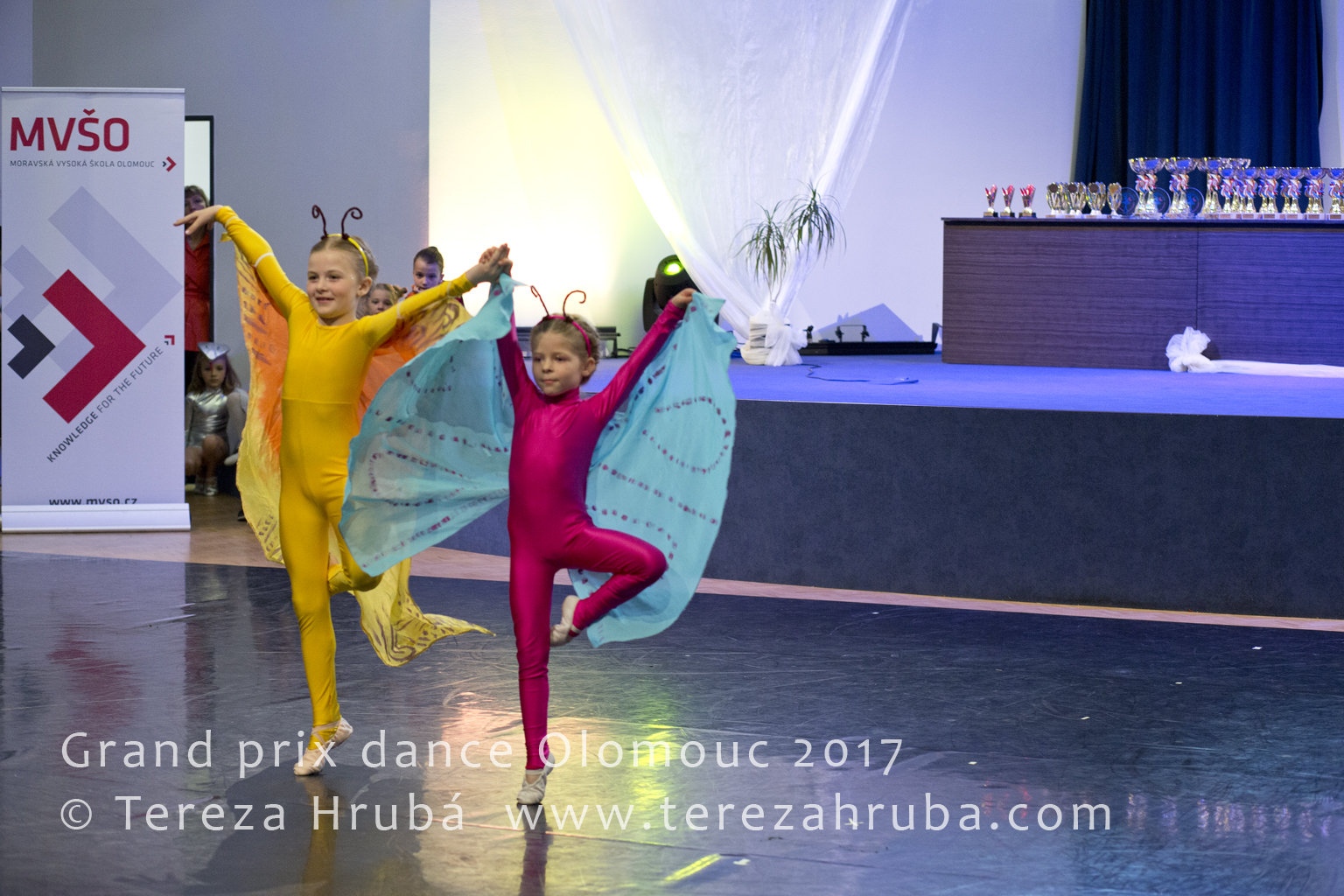 _MG_5378 kopie