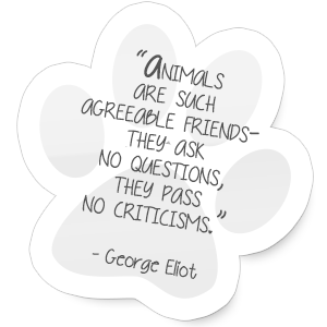 pet-quotes-paw-2.webp