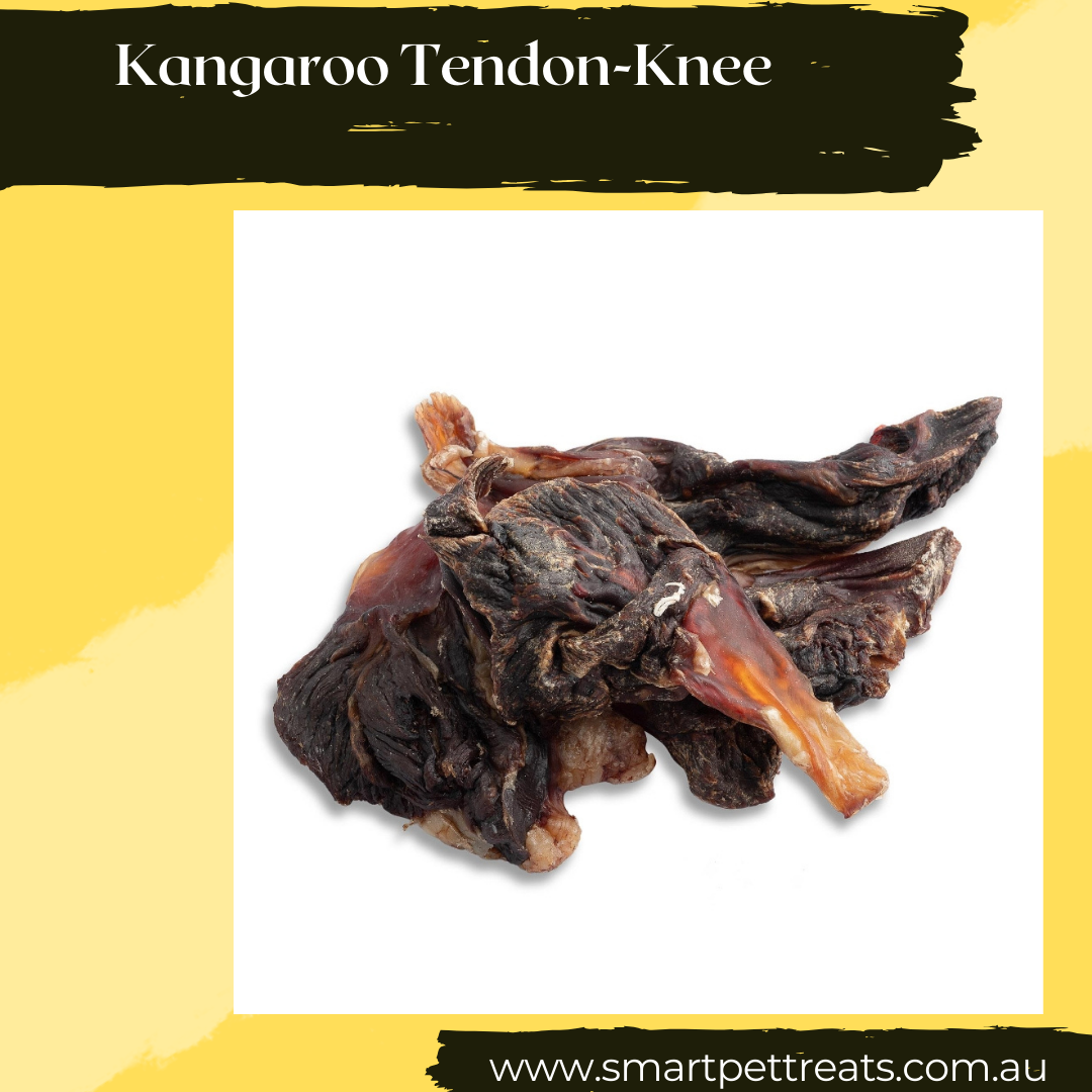 Kangaroo Tendon-Knee