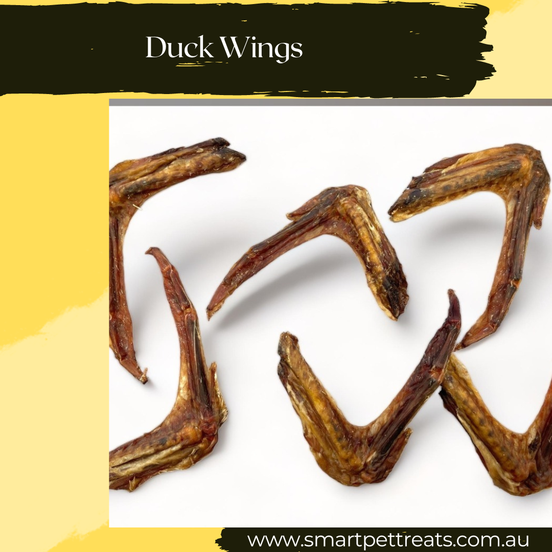 Australian Duck Wings