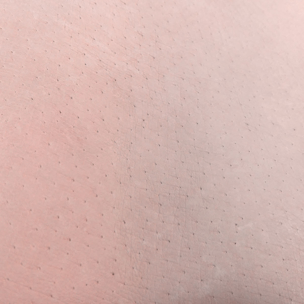 Forro de cerdo - Piñon