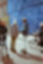 imm008_N8 kopie.jpg