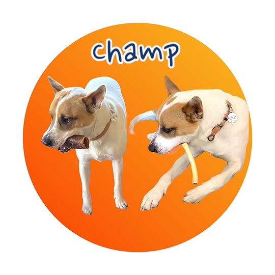Champ