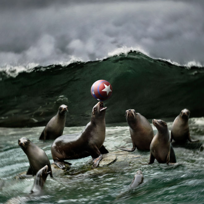 Sea Lion 4_flattened edits.jpeg