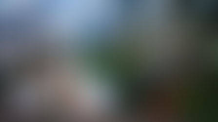 Munnar Hotels - Offers Outstanding Services And Hospitality