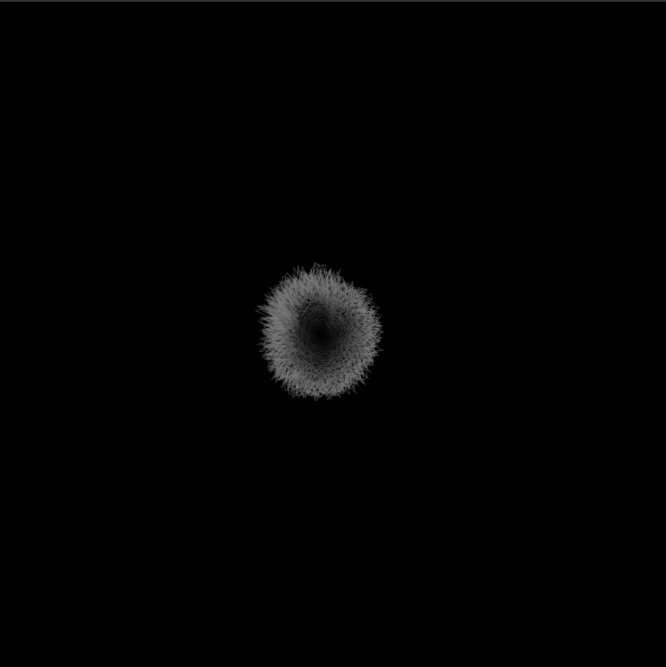 dandelion - pp - final.gif