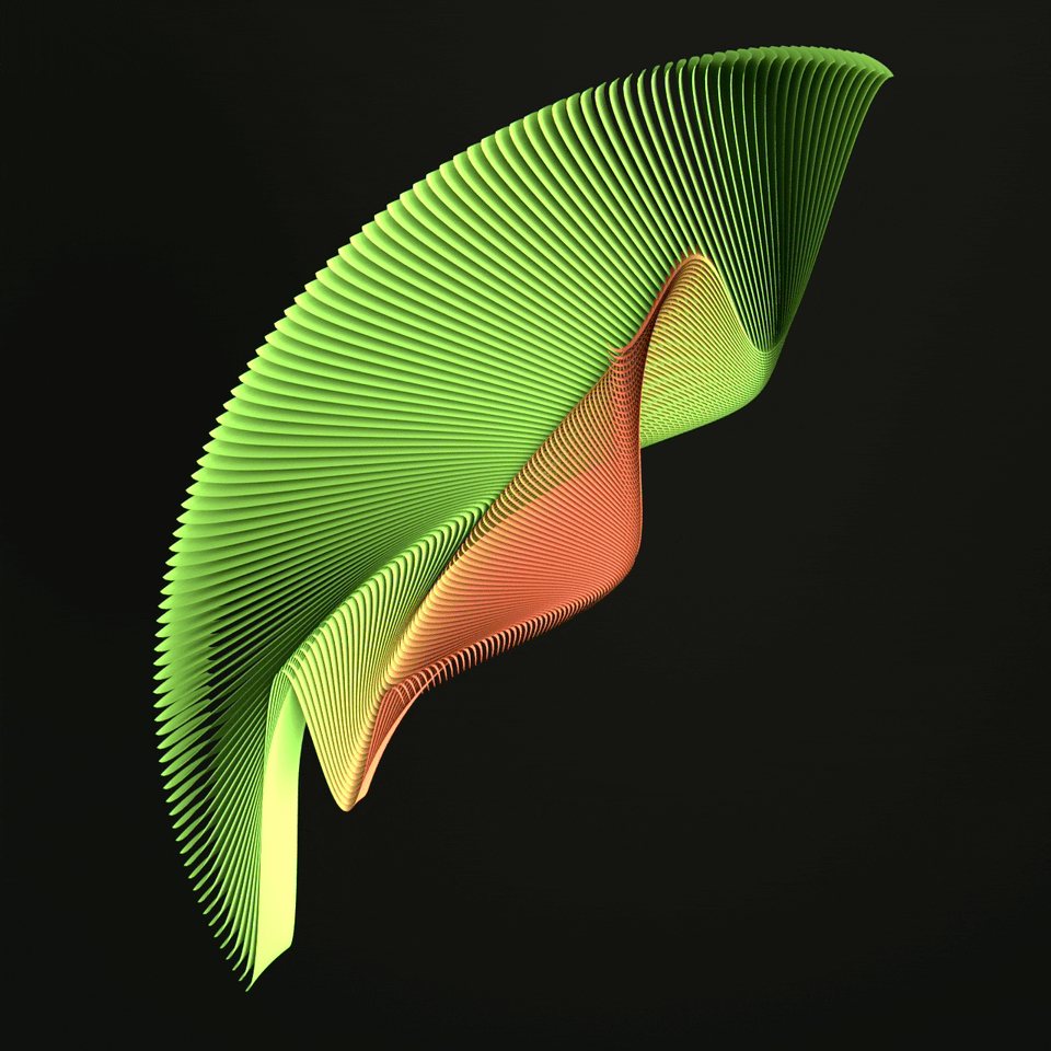 Parakeet.gif