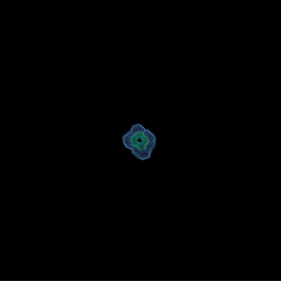 Carnation - pp - final.gif