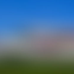 Foster narrowly misses out on title in first season outside of UK