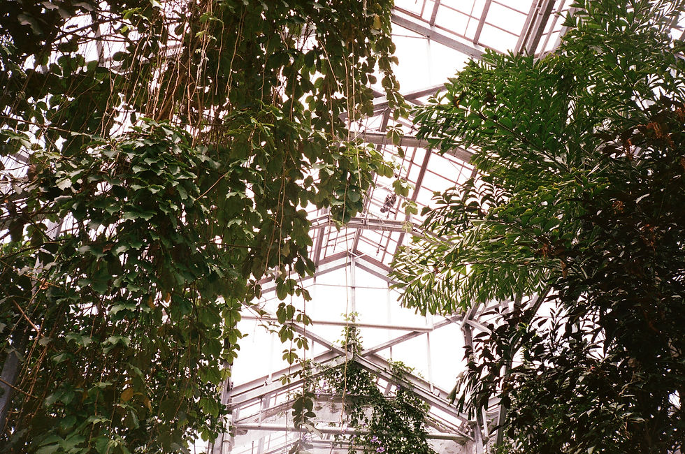 Greenhouse Love