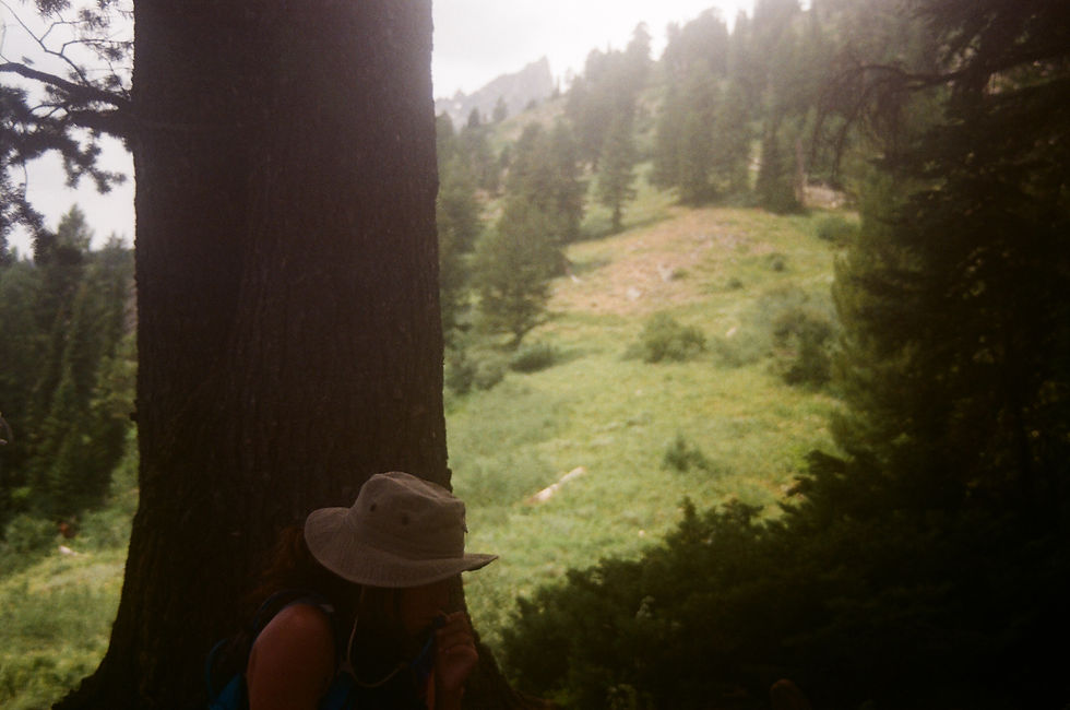 Mid-Hike