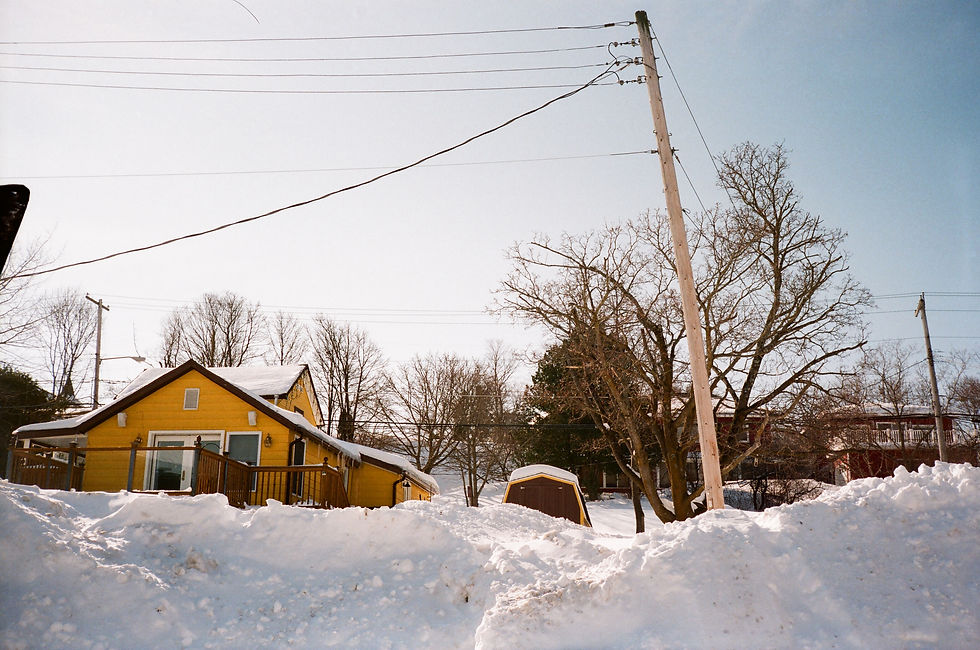 Snowdrift Hillside