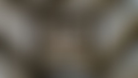 Do You Build Walls or Bridges?