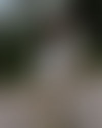 Inicie o Novo Mês com Leveza