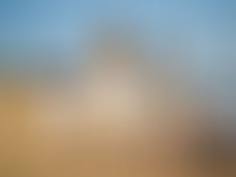 Necessidades emocionais