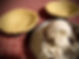 314329778_140289505429341_896407111603029888_n.jpeg