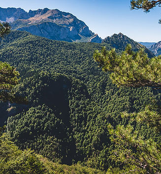 perucica-hiking-002.jpg