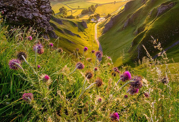 Mountains & Valleys.jpg