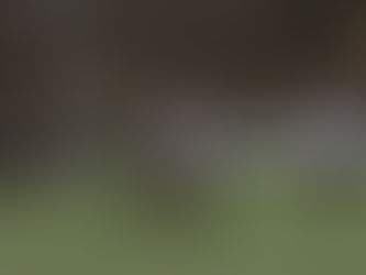 Match Preview: Bala Town vs Penybont