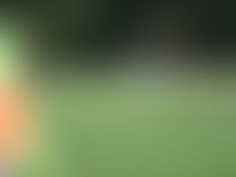 Match Preview: Bala Town vs Penybont