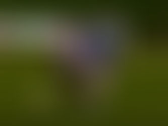 Sean Departs Maes Tegid