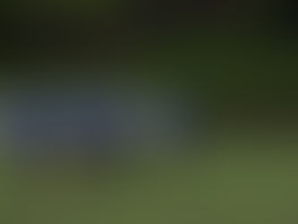 Ffeinal Ted - Cwpan y Bragdy 2022