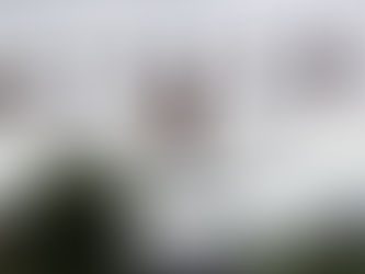 French Defender Digbeu Makes His Move!