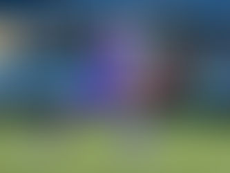 Lloyd returns to Maes Tegid