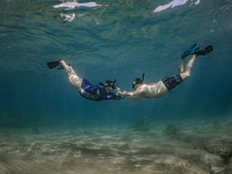 Dylan + Julia's South Side Maui Engagement Photos
