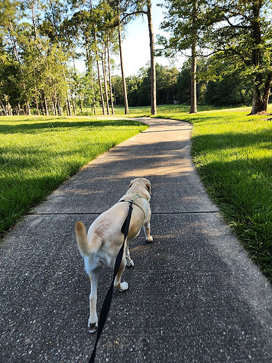 walk.jpg