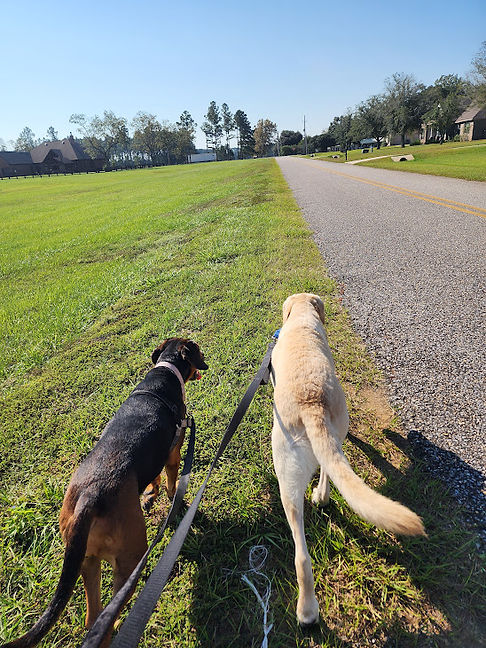 walk.jpg