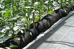 klein_DSC05226 (1)_imgupscaler.ai_v1(Fast)_2K.png