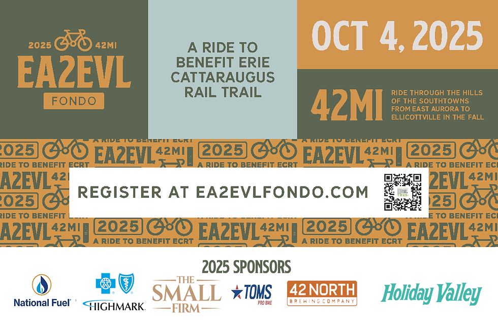 Decorative image of the reverse side of the EA2EVL 20205 Fondo postcard.