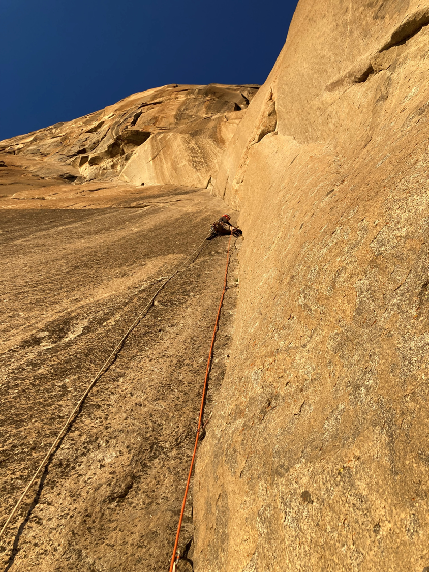 Robin on an endless golden granite corner