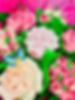 image1.jpeg