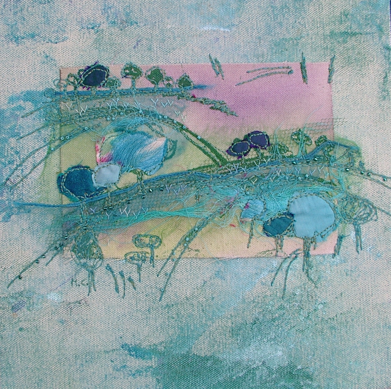 forest fragments