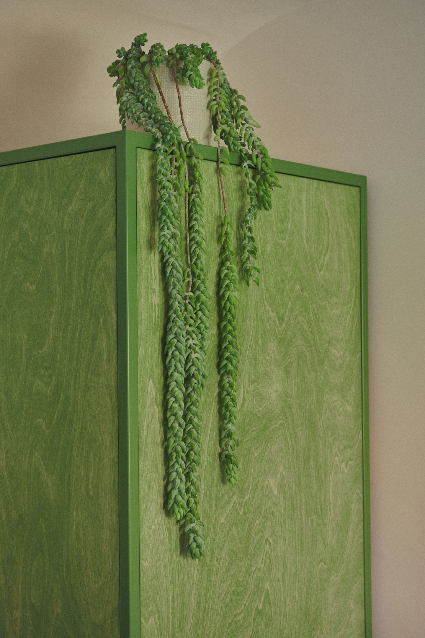 Sage green galley kitchen with RAL 6011 steel frames, stained birch plywood fronts, raw white quartz worktop, open shelving, and quarry tile floor.