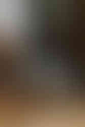 Bride, groom on wedding day with dog in suit