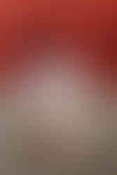 Gay couple on wedding day with red wall backdrop