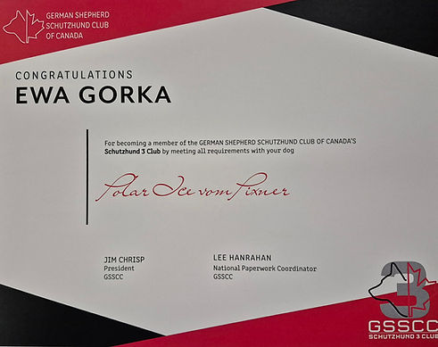 c1fddf10-bf19-40ff-8740-01768c383b0c.jfif