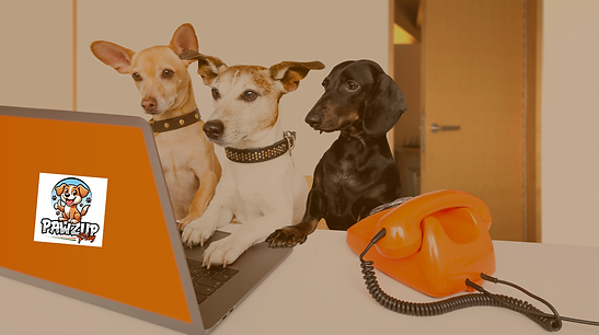 now.booking pup pack intro (Website).png