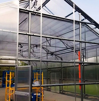 Expert Design Tips From A Commercial Greenhouse Builder