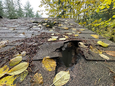 A roof in need of roof repair by Marcano Roofing in Salem Oregon