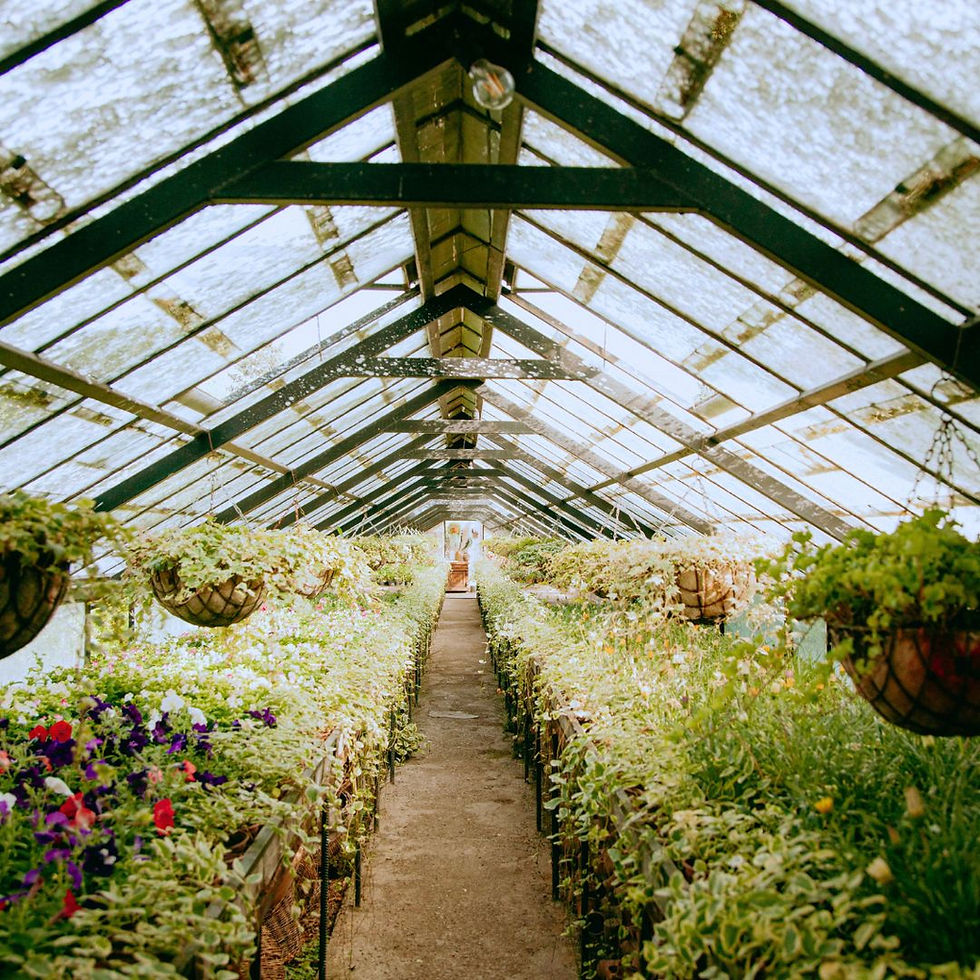 Glass greenhouse style