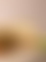 Key Lime Pie Mousse Cake 