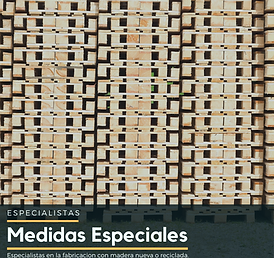 Medidas Especiales 1