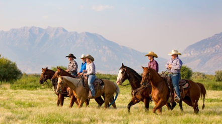 For a truly authentic Montana experience try a stay at working cattle ranch!