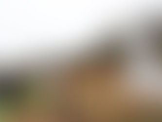 Campania區學校師生參觀兩尊鎮寺石獅及四大天王聖像